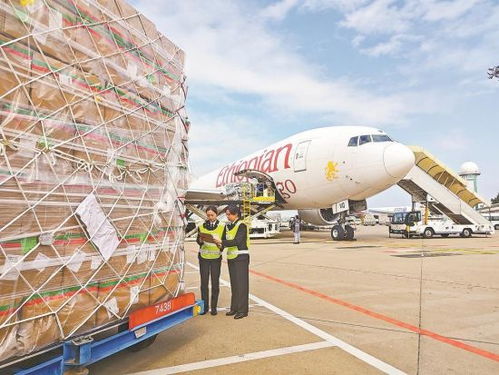 國內首條金磚跨境電商空運專線累計出口包裹突破4700萬件，助推經貿合作提質升級